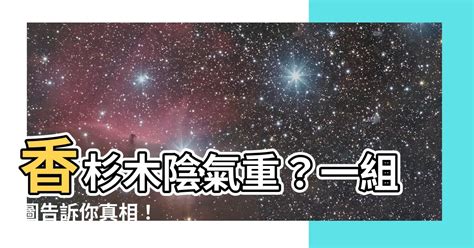 香杉木陰氣|【香杉木陰氣】揭開「香杉木陰氣」傳聞！一組圖讓你秒懂杉木的。